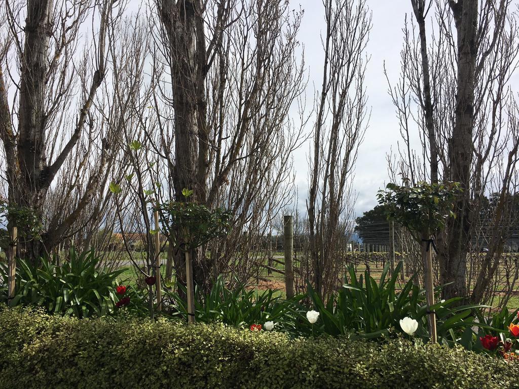 Aylstone Martinborough Hotel Exterior photo