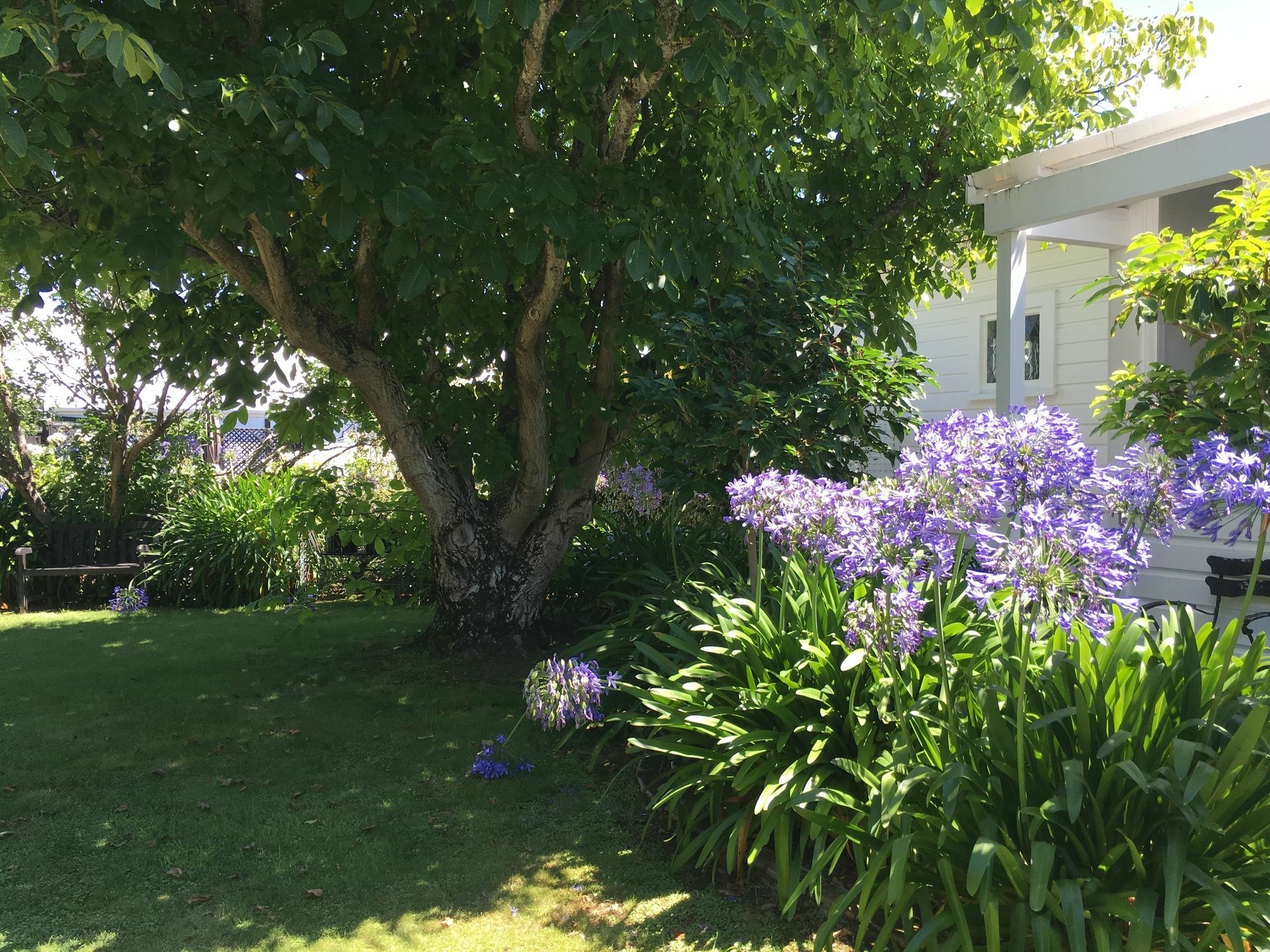 Aylstone Martinborough Hotel Exterior photo